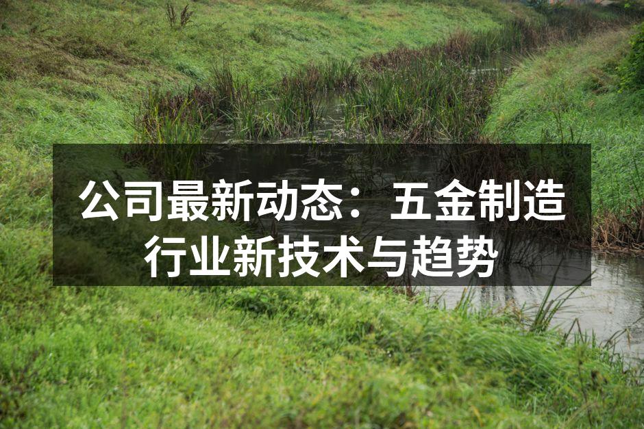 公司引进高精度数控机床,推动生产效率提升