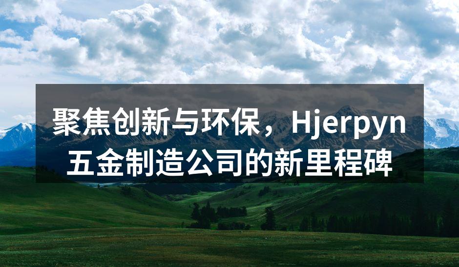 Hjerpyn新产品展览会现场